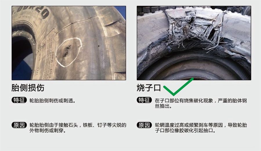 M88-M88体育(中国集团)官方网站